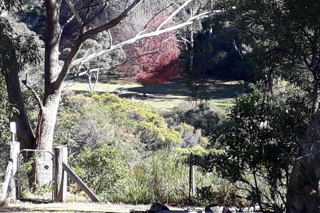 Katoomba Falls Cottage Εξωτερικό φωτογραφία